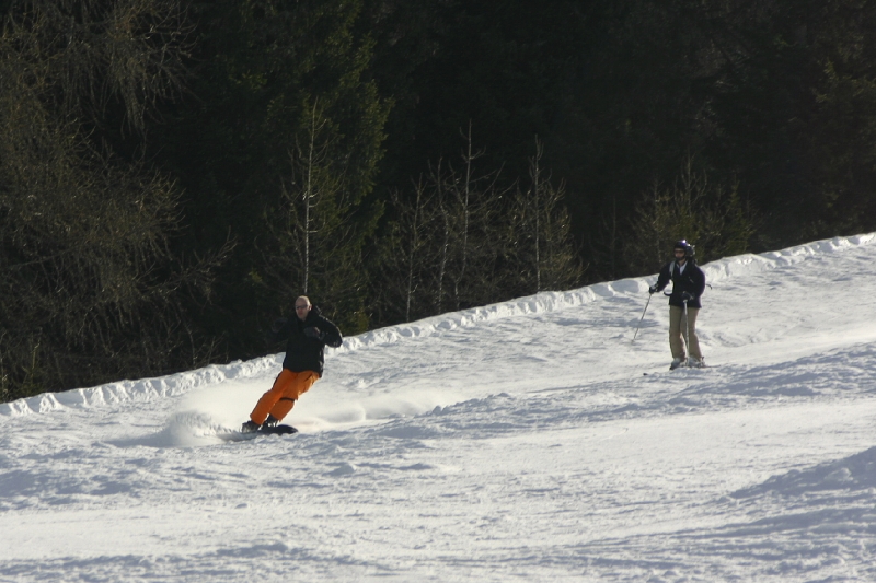 IMG_3778_lay.jpg
